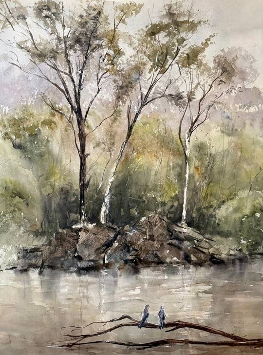 Warrandyte river