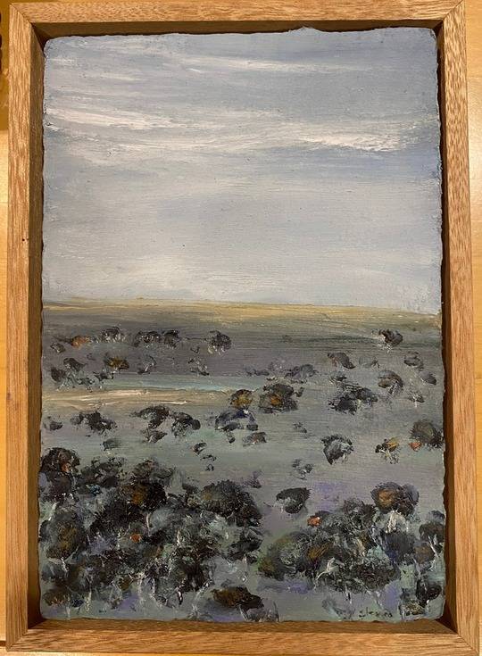 Bushland 2