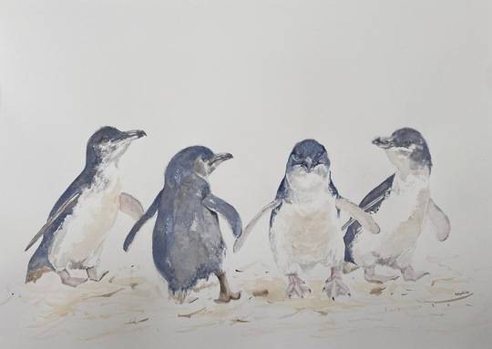 Out For A Waddle