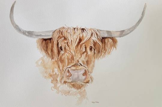 Moo!