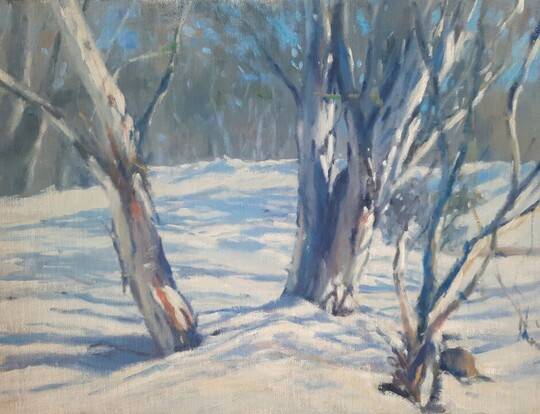 Winter Sunlight