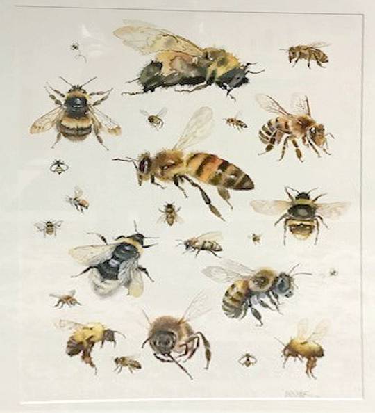 I Love Bees