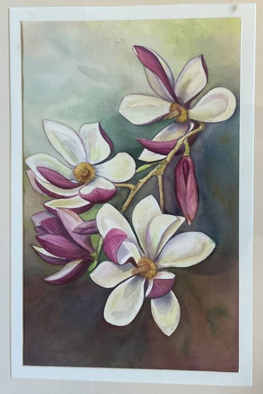 Magnolia