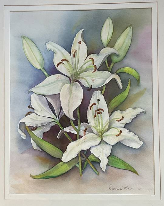 Lilies