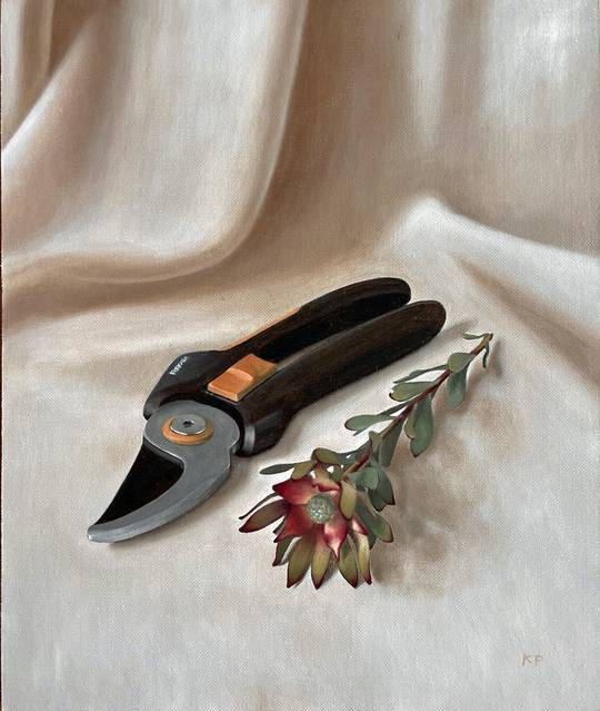 From the Garden