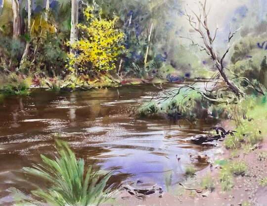 Eltham Bushland